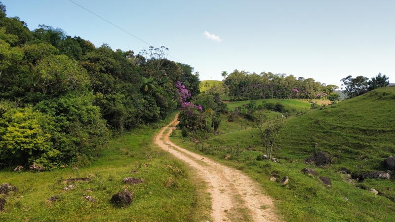 Chácara/Sítio para Venda  São Pedro de Alcântara