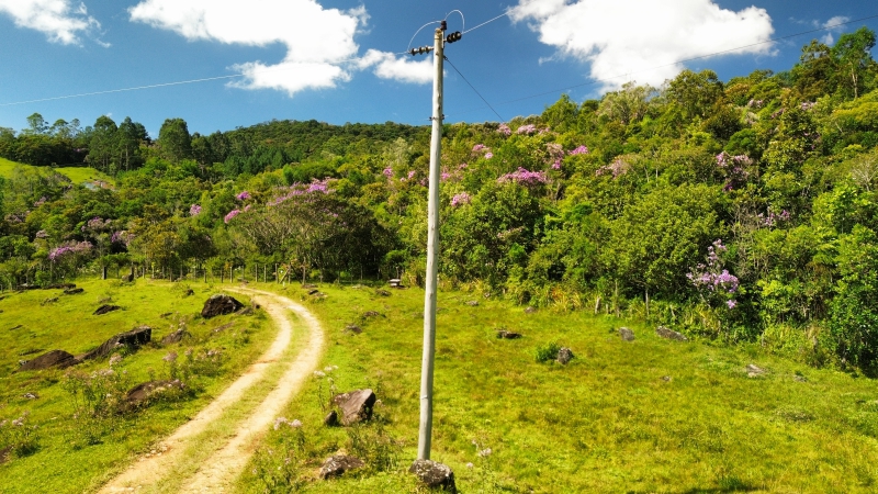 Chácara/Sítio para Venda  São Pedro de Alcântara